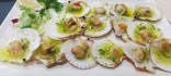 Zamburinyes a la planxa